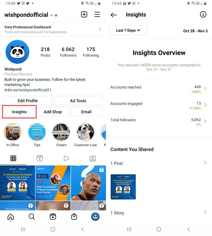 Instagram Insights Overview
