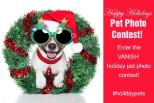Holiday photo contest idea